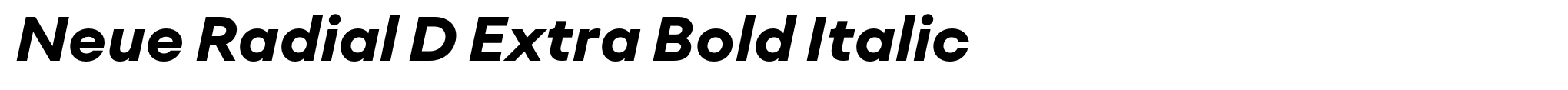 Neue Radial D Extra Bold Italic image